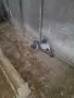 Продавам две млади пощи  , снимка 2