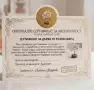 Декоративно дръвче на щастието от розов кварц с дървена основа, снимка 5