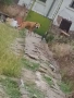 Свободен мъжки на 2г, снимка 1