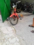 Piaggio ciao i boxer na части, снимка 3