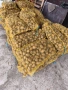 Картофи Сорая , снимка 2