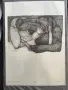 Любовни рисунки Петринел Гочев, снимка 4