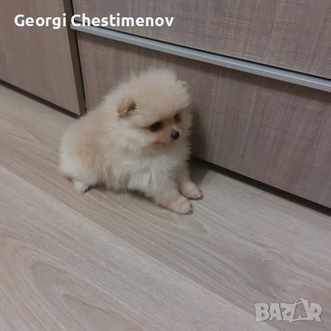 Момче!