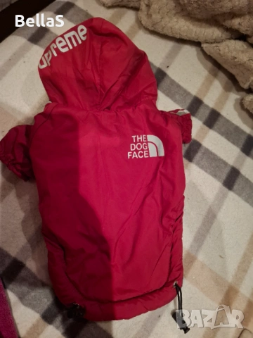 Зимно яке за куче, снимка 2 - Чихуахуа - 54078213