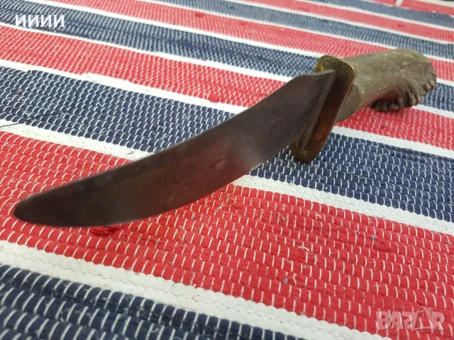 Крив хайдушки нож