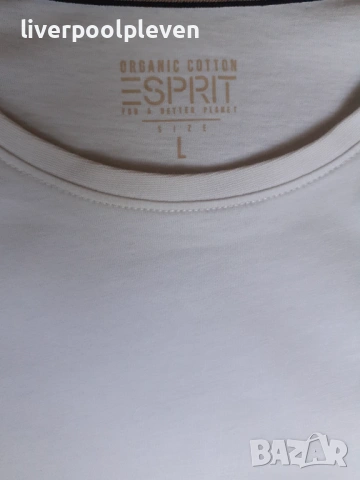👉Нова Esprit Original L, снимка 4 - Тениски - 54719150
