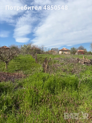 парцел в село Кутово, Видинско, снимка 4 - Парцели - 54818352