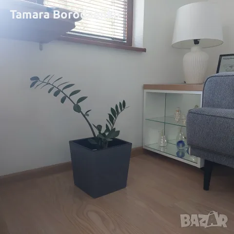 Пластмасова саксия, снимка 4 - Саксии и кашпи - 55665761