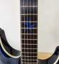 Schecter diamond series exotic star , снимка 3