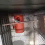 Свободен чивт Малък Александър виолети, снимка 1