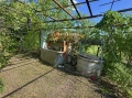 Само в АУРА! Вила с парцел 1175 кв.м в кв. Изгрев, снимка 3