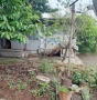 Вила 50м2, двор 3112м2, 73500евро, намалена цена, Страшимирово, снимка 2