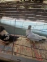 Продавам   чифт     дюзбаши, снимка 4