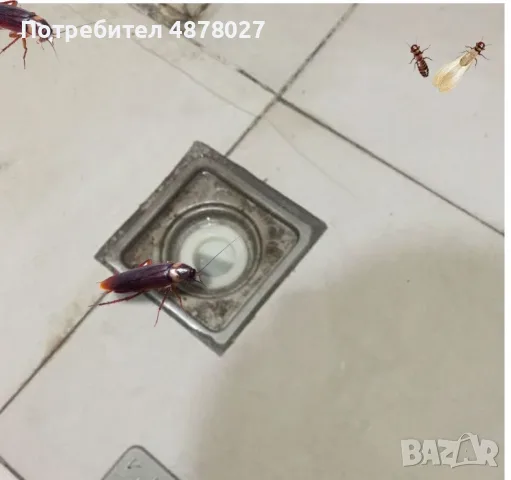 Мощен препарат за отпушване на тоалетна, кухненска канализация / 110гр / Трайност - 10 години., снимка 7 - Препарати за почистване - 55499472