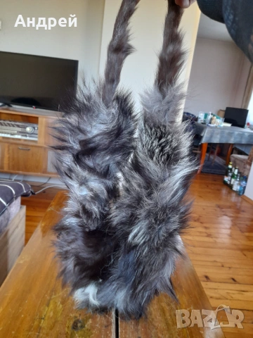 Стара кожена яка, снимка 5 - Други ценни предмети - 54368116