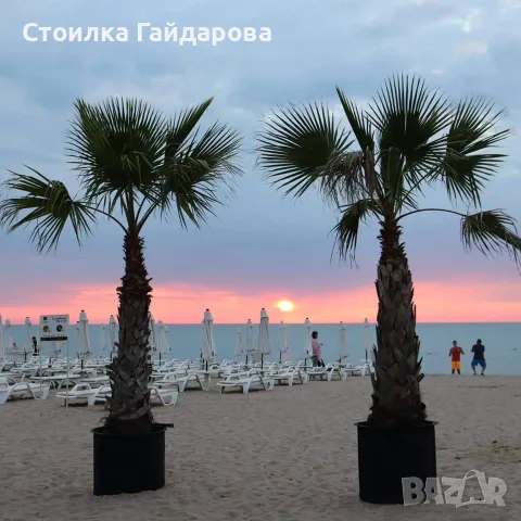 Къща за гости "Морски бриз"Обзор-бюджетна и спокойна почивка