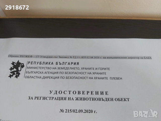 АКАЦИЯ-2026 - НАТУРАЛЕН ПЧЕЛЕН МЕД, снимка 2 - Пчелни продукти - 54702706