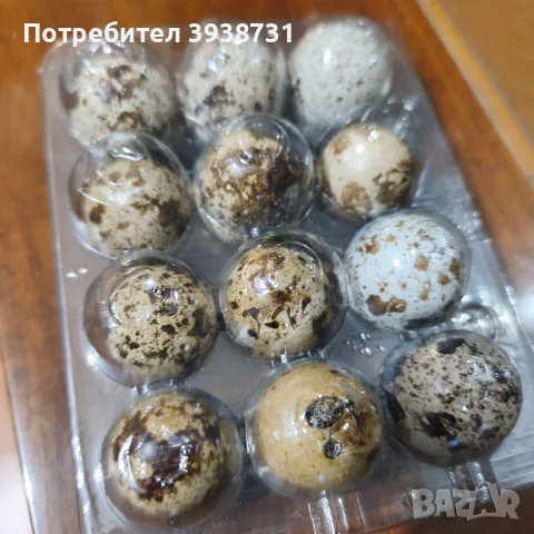Пъдпъдъци и яйца от пъдпъдъци за консумация , снимка 2 - други­ - 55365537