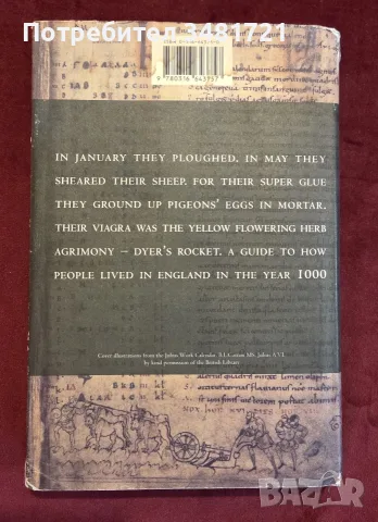 The Year 1000. What Life Was Like at the Turn of the First Millennium, снимка 4 - История, политика и общество - 55362408