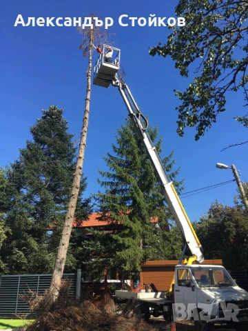 Рязане и кастрене на дървета с автовишка, снимка 7 - Други услуги - 54006380
