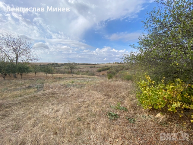 Стара селска къща за продажба в с. Малък Поровец, снимка 8 - Къщи - 54977870
