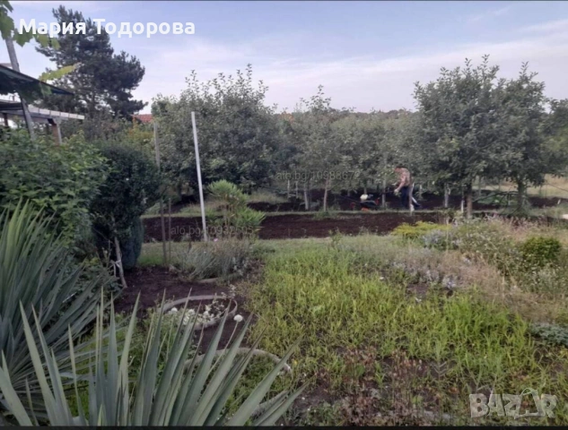 дворно място в регулация