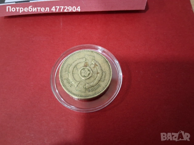 Рядък One Pound 2001 с Грешка , снимка 8 - Нумизматика и бонистика - 54286069