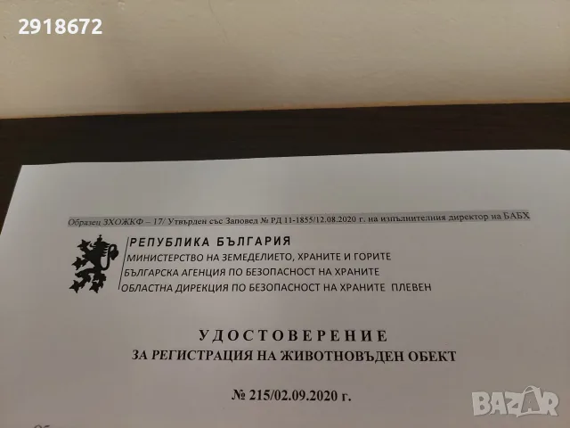 НАТУРАЛЕН ПЧЕЛЕН МЕД БУКЕТ - юли 2026, снимка 2 - Пчелни продукти - 55398638