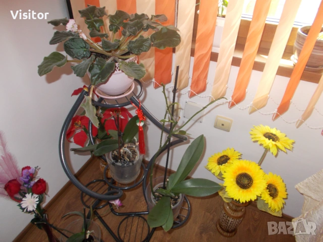 Nikon Coolpix L27   16.1mPx, снимка 10 - Фотоапарати - 53988904