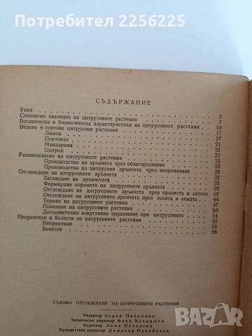 Съдово отглеждане на цитрусовите растения , снимка 3 - Специализирана литература - 54550902