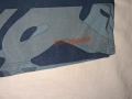 2 броя -Patagonia Stretch Planing Boardshorts (М) и  Mountain Equipment Comici Short (L) мъжки шорти, снимка 3