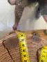 Винтидж Арт Антично дървено шкафче етажерка бюро ръчна изработка масив дърво , снимка 5
