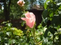 Panasonic Lumix DMC-S1 Leica Lens Y2K, снимка 13
