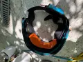 Продавам кайтсърф трапец Prolimit с включен spreader bar., снимка 3