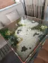 Маси с декорация  , снимка 5