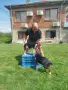 Продавам трицветни гончета, снимка 1