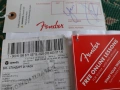 Fender player series stratocaster ER HSS, снимка 4