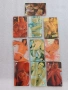 Много редки еротични телефонни карти от 90 години/erotic phone cards/, снимка 7