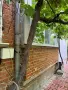 Продава се просторен етаж от къща със самостоятелен двор в гр. Средец, област Бургас, снимка 13