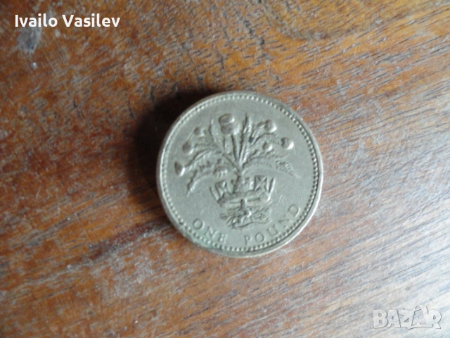 One Pound Nemo me impune lacessit 