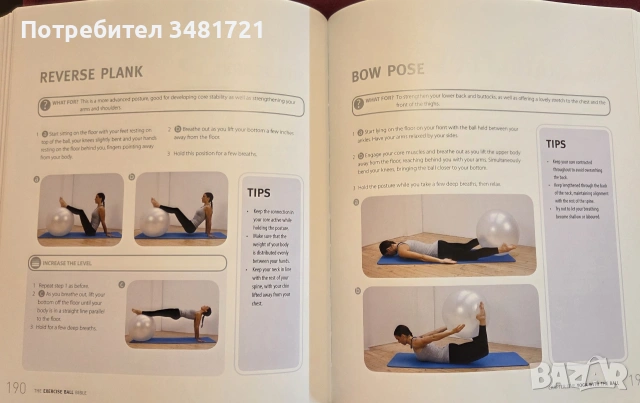 The Exercise Ball Bible, снимка 10 - Здраве, медицина и спорт - 55065720