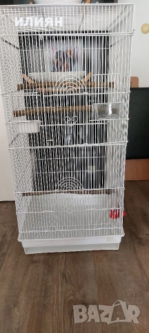 Клетка кафез папагали ,канарчета ,амадини, снимка 6 - За птици - 54798953