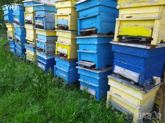 Продавам пчелни кошери, снимка 3 - За пчели - 54674319