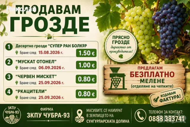 ГРОЗДЕ ЗА ВИНО И РАКИЯ 