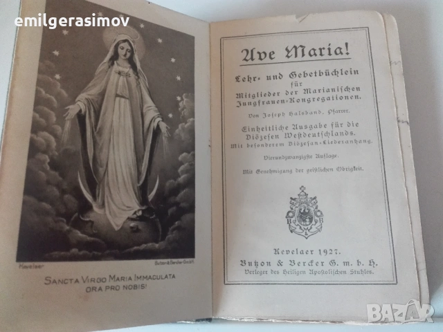 Две антикварни книги и шест картини,графика ., снимка 14 - Картини - 28217285