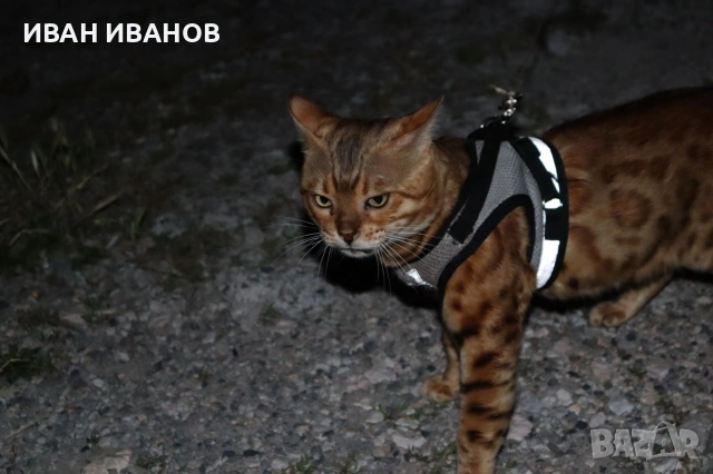 Комплект за котки и кучета с жилетка-стил нагръдник размер М, снимка 7 - За котки - 55167885
