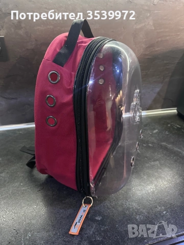 Раница за Коте