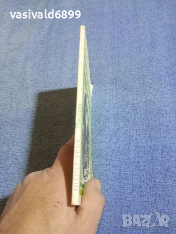 Анатол Франс - Пчелица , снимка 2 - Детски книжки - 54239176