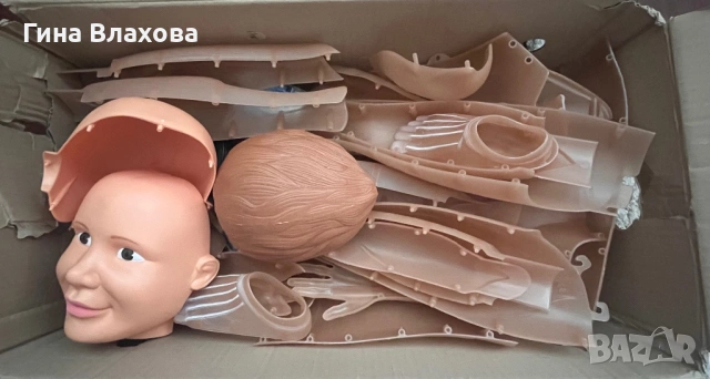 Човешкото тяло-мускули, снимка 4 - Образователни игри - 54567732