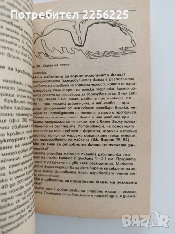 1001 въпроса и отговора по пчеларство, снимка 2 - Специализирана литература - 54787122